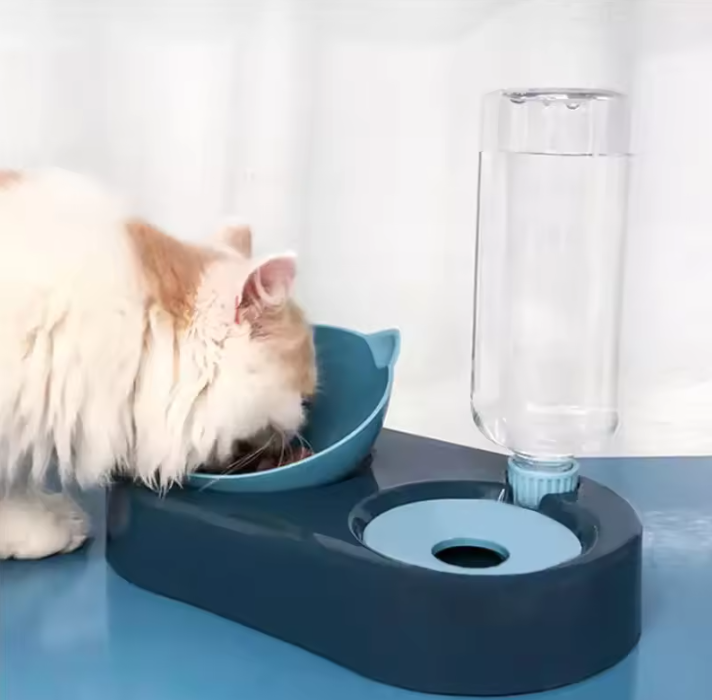 2-in-1 Pet Bowl Automatic Feeder