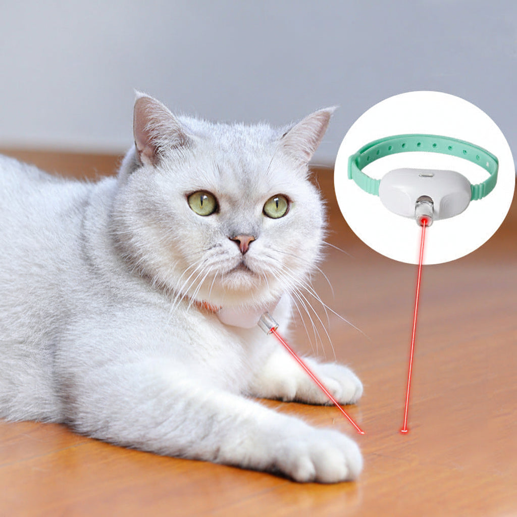Cat wearing a laser collar with a close-up inset on a wooden surface
