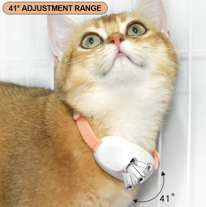 Cat Laser Toy