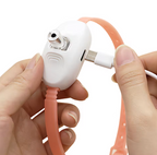 Cat Laser Toy